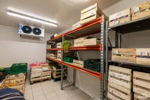 Chambre froide de stockage : fruits et légumes en cagettes bois sur rayonnages, évaporateur au plafond.