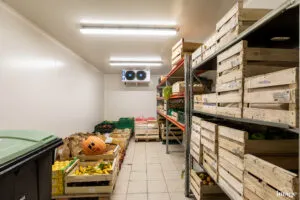 Chambre froide de stockage : fruits et légumes en cagettes bois sur rayonnages, évaporateur au plafond.